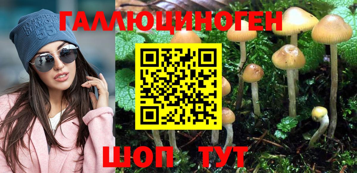 Калуга  Псилоцибиновые грибы GOLDEN TEACHER  как найти закладки  Вход с VPN 